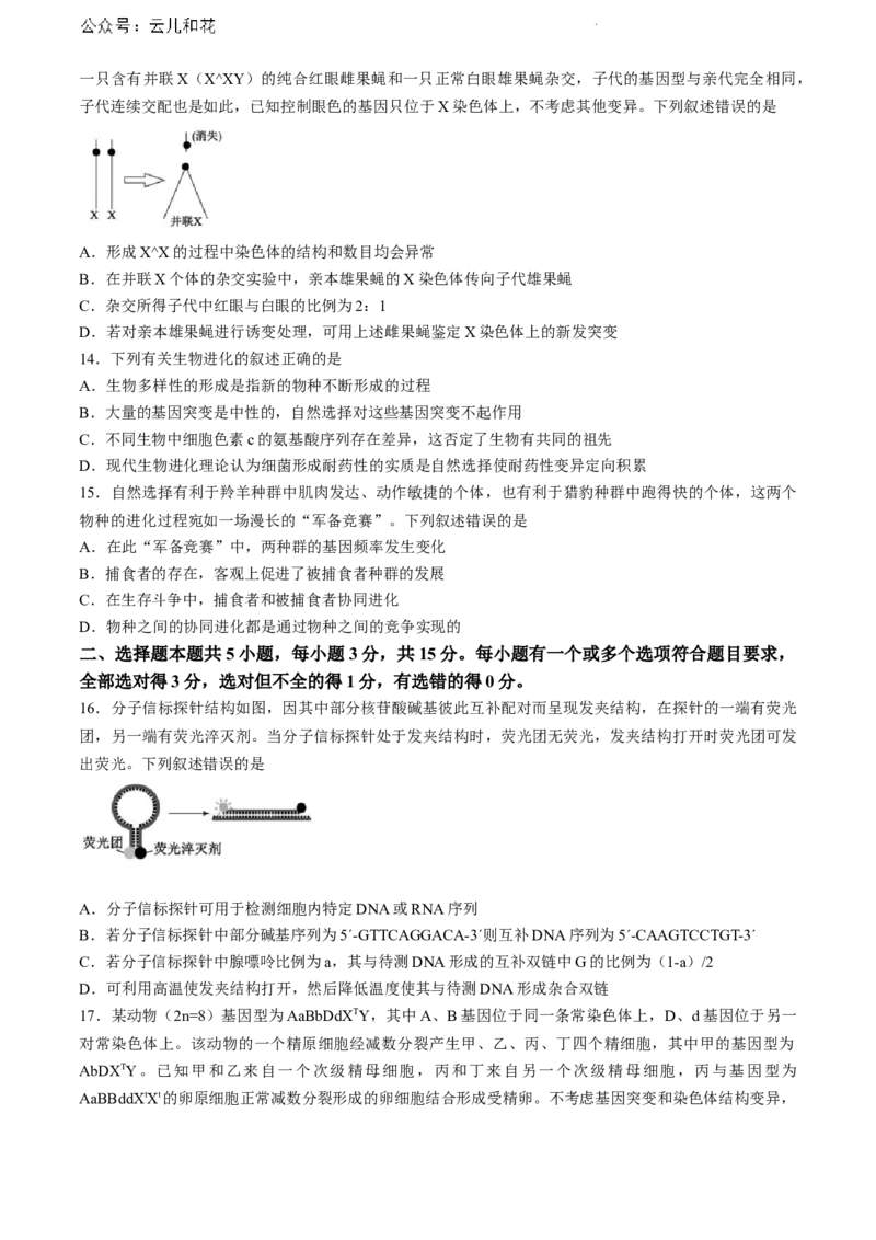 山东省东营市2023-2024学年高一下学期期末考试生物试题_2024-2025高一（7-7月题库）_2024年8月试卷_0811山东省东营市2023-2024学年高一下学期期末考试