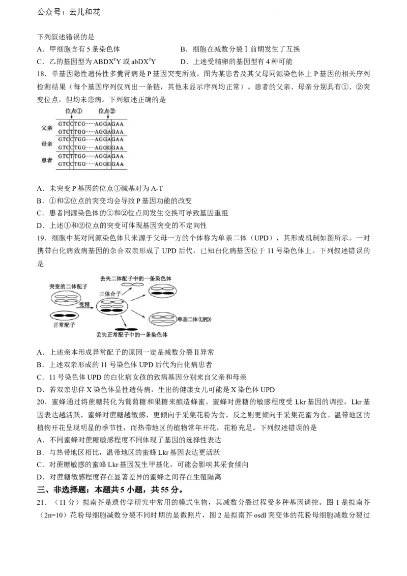 山东省东营市2023-2024学年高一下学期期末考试生物试题_2024-2025高一（7-7月题库）_2024年8月试卷_0811山东省东营市2023-2024学年高一下学期期末考试