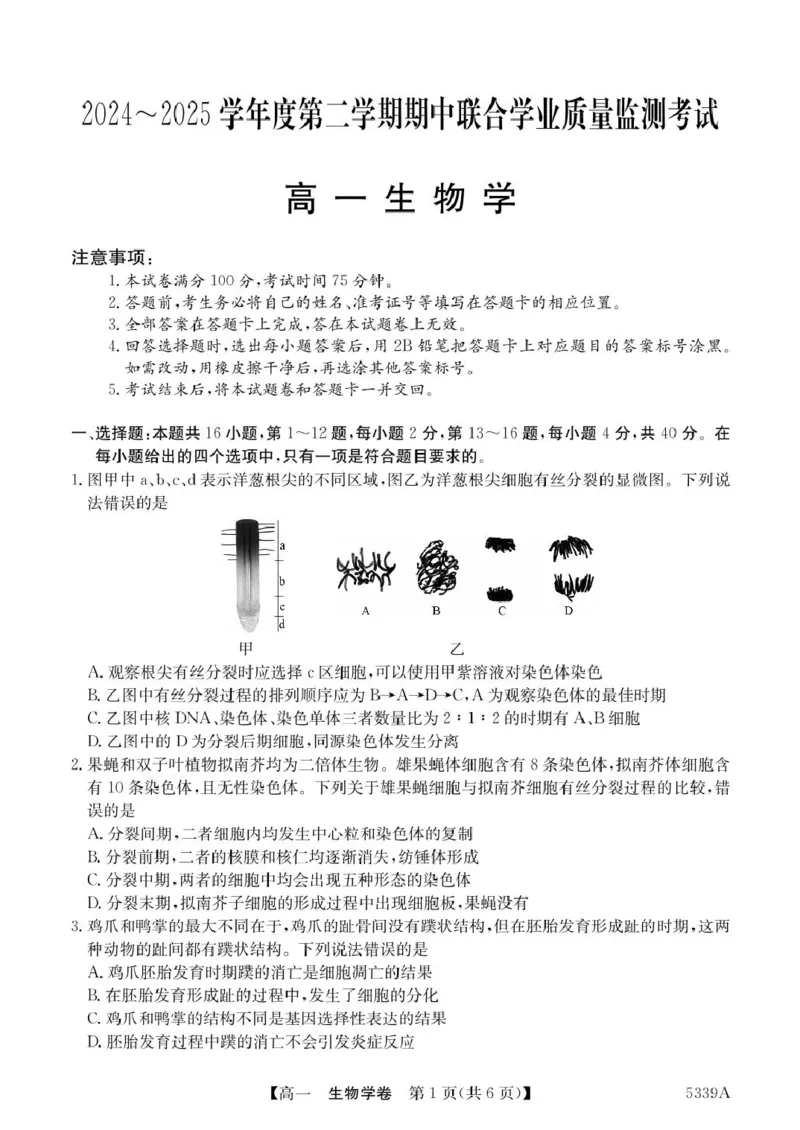 广东省清远市六校2024-2025学年高一下学期期中考试生物PDF版含答案_2024-2025高一（7-7月题库）_2025年05月试卷_0519广东省清远市六校2024-2025学年高一下学期期中考试