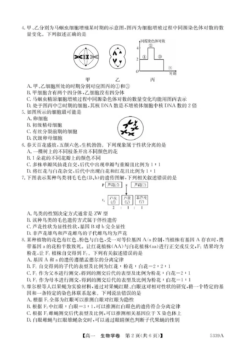广东省清远市六校2024-2025学年高一下学期期中考试生物PDF版含答案_2024-2025高一（7-7月题库）_2025年05月试卷_0519广东省清远市六校2024-2025学年高一下学期期中考试