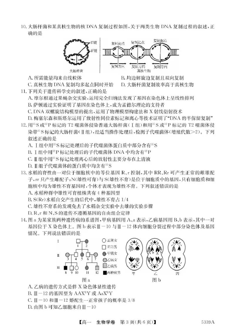 广东省清远市六校2024-2025学年高一下学期期中考试生物PDF版含答案_2024-2025高一（7-7月题库）_2025年05月试卷_0519广东省清远市六校2024-2025学年高一下学期期中考试