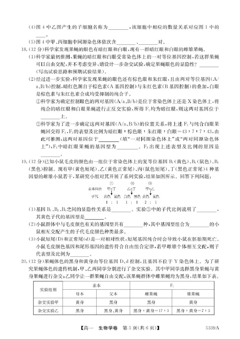 广东省清远市六校2024-2025学年高一下学期期中考试生物PDF版含答案_2024-2025高一（7-7月题库）_2025年05月试卷_0519广东省清远市六校2024-2025学年高一下学期期中考试