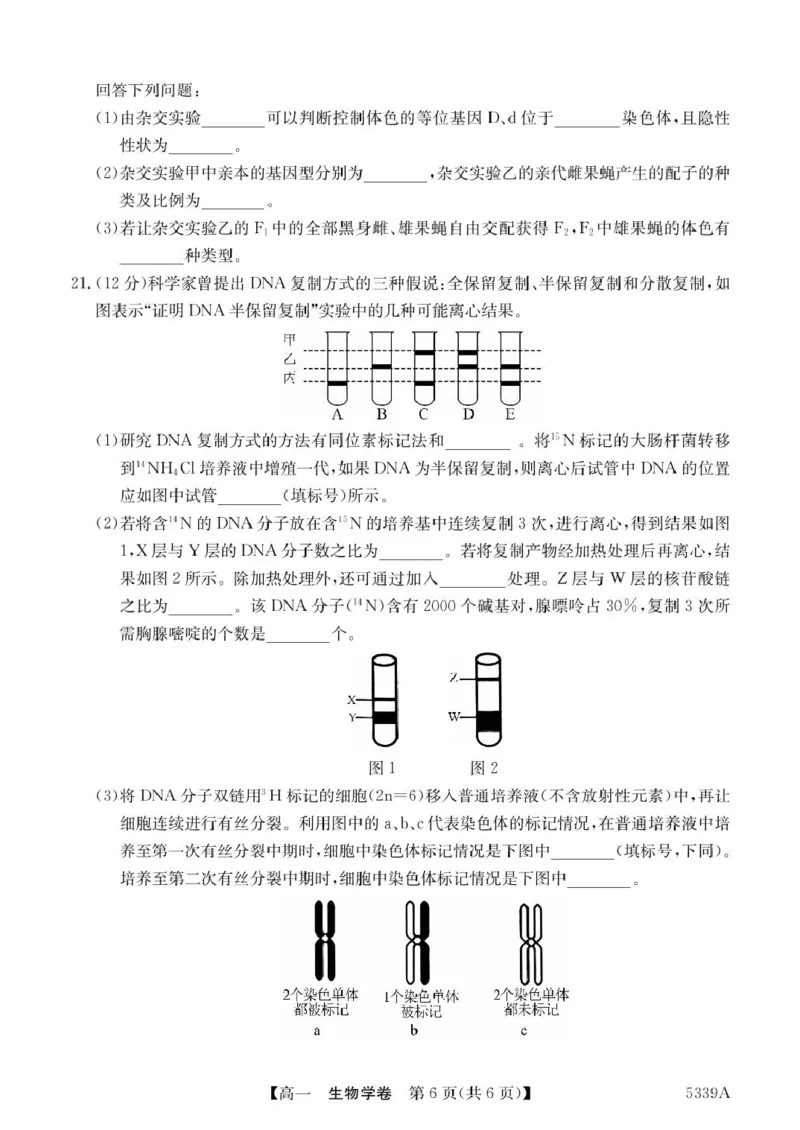 广东省清远市六校2024-2025学年高一下学期期中考试生物PDF版含答案_2024-2025高一（7-7月题库）_2025年05月试卷_0519广东省清远市六校2024-2025学年高一下学期期中考试