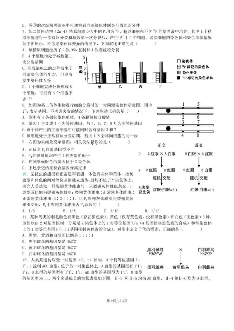 安徽省合肥市普通高中六校联盟2024-2025学年高一下学期4月期中考试生物PDF版含答案_2024-2025高一（7-7月题库）_2025年05月试卷