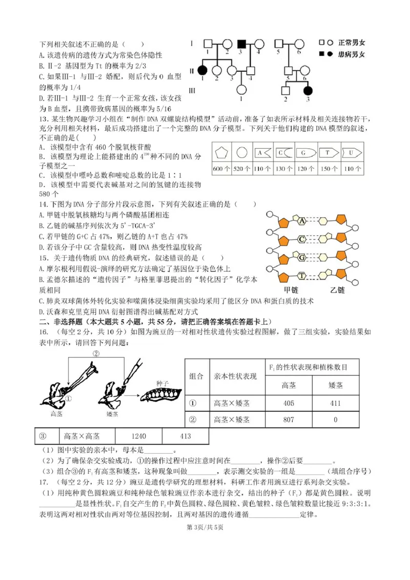 安徽省合肥市普通高中六校联盟2024-2025学年高一下学期4月期中考试生物PDF版含答案_2024-2025高一（7-7月题库）_2025年05月试卷