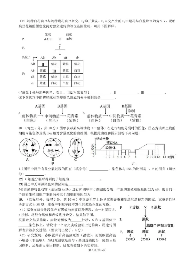 安徽省合肥市普通高中六校联盟2024-2025学年高一下学期4月期中考试生物PDF版含答案_2024-2025高一（7-7月题库）_2025年05月试卷