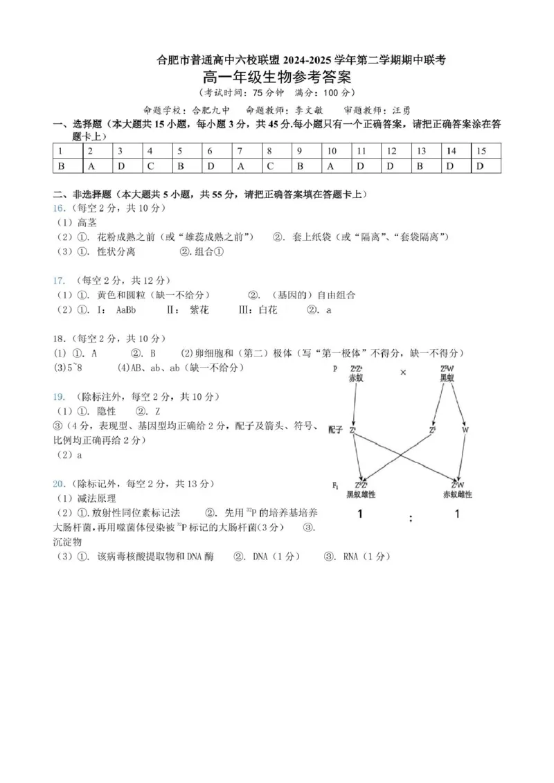 安徽省合肥市普通高中六校联盟2024-2025学年高一下学期4月期中考试生物PDF版含答案_2024-2025高一（7-7月题库）_2025年05月试卷