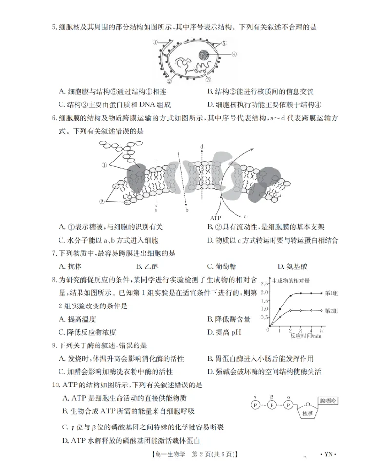 云南省2028届高一上学期12月联考（26-002A）生物_2024-2025高一（7-7月题库）_2026年1月高一_260107金太阳&middot;云南省2028届高一上学期12月联考（26-002A）（全）