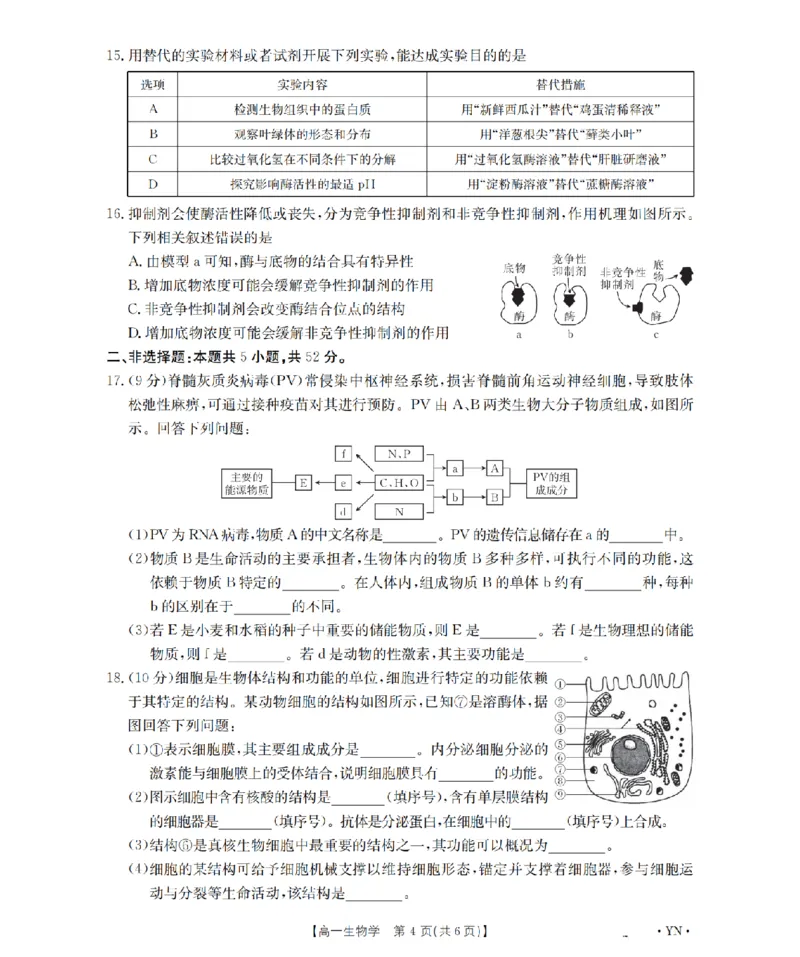 云南省2028届高一上学期12月联考（26-002A）生物_2024-2025高一（7-7月题库）_2026年1月高一_260107金太阳&middot;云南省2028届高一上学期12月联考（26-002A）（全）