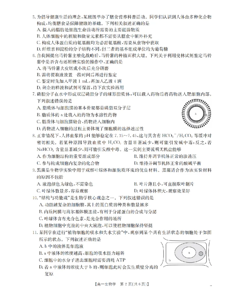 内蒙古赤峰市全市优质高中联盟2025-2026学年高一上学期12月月考（26-184A）生物_2024-2025高一（7-7月题库）_2026年1月高一