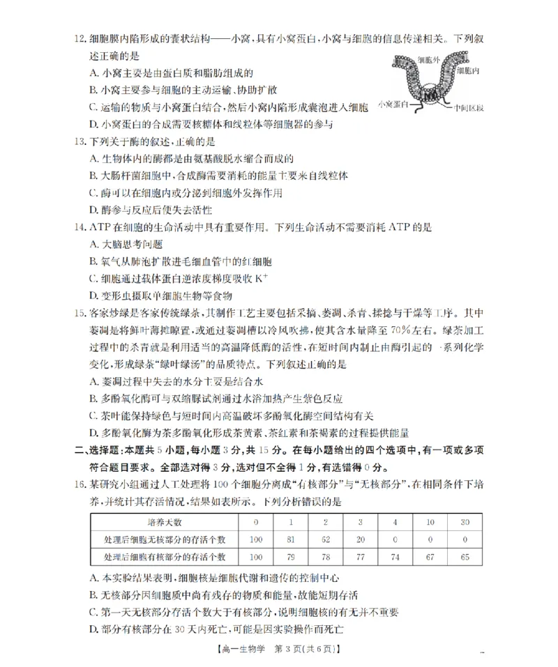 内蒙古赤峰市全市优质高中联盟2025-2026学年高一上学期12月月考（26-184A）生物_2024-2025高一（7-7月题库）_2026年1月高一