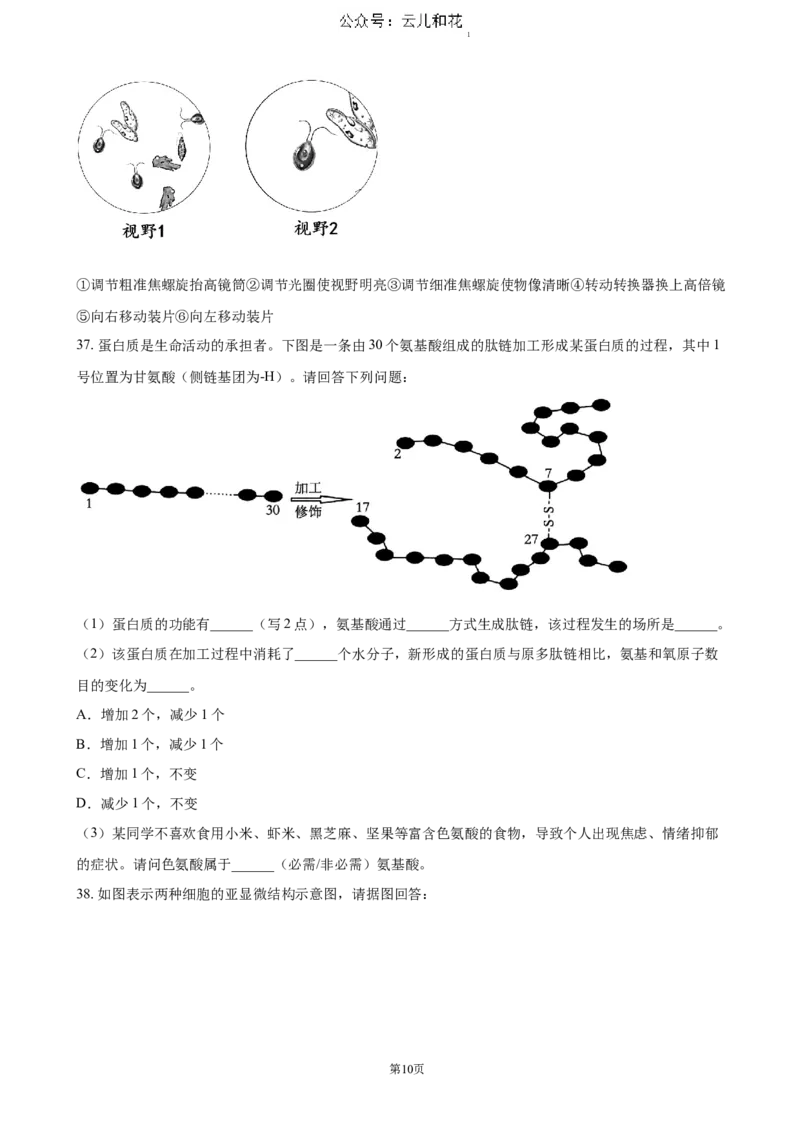江苏省扬州市高邮市2024-2025学年高一上学期11月期中考试生物（含答案）_2024-2025高一（7-7月题库）_2024年12月试卷_1206江苏省扬州市高邮市2024-2025学年高一上学期11月期中考试