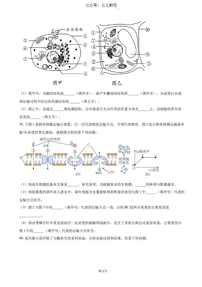 江苏省扬州市高邮市2024-2025学年高一上学期11月期中考试生物（含答案）_2024-2025高一（7-7月题库）_2024年12月试卷_1206江苏省扬州市高邮市2024-2025学年高一上学期11月期中考试