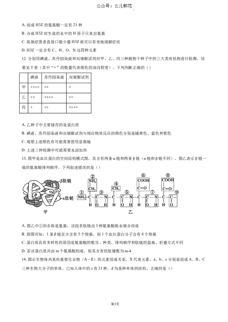 江苏省扬州市高邮市2024-2025学年高一上学期11月期中考试生物（含答案）_2024-2025高一（7-7月题库）_2024年12月试卷_1206江苏省扬州市高邮市2024-2025学年高一上学期11月期中考试