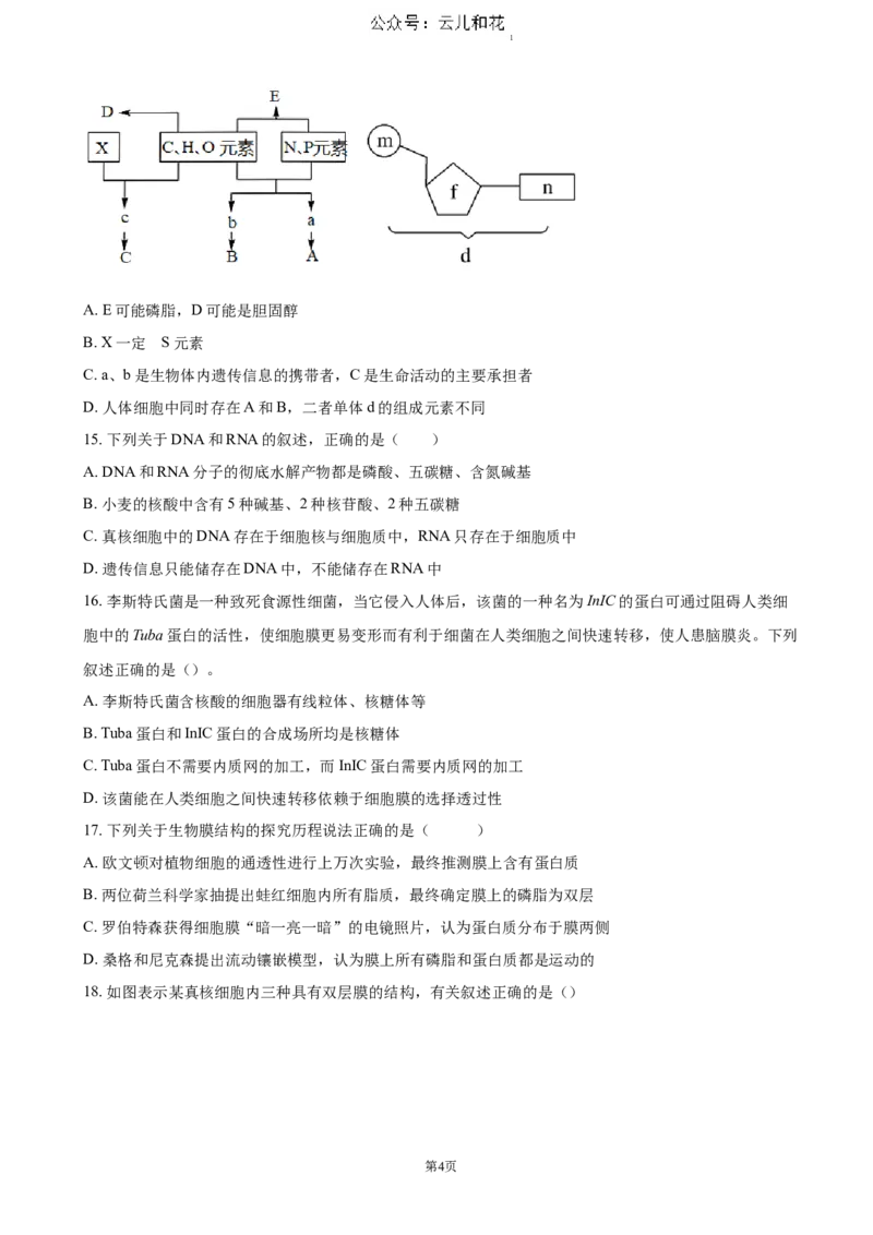 江苏省扬州市高邮市2024-2025学年高一上学期11月期中考试生物（含答案）_2024-2025高一（7-7月题库）_2024年12月试卷_1206江苏省扬州市高邮市2024-2025学年高一上学期11月期中考试