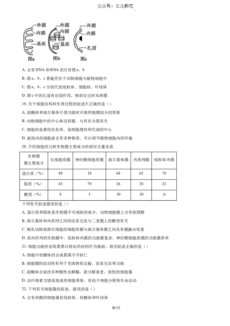 江苏省扬州市高邮市2024-2025学年高一上学期11月期中考试生物（含答案）_2024-2025高一（7-7月题库）_2024年12月试卷_1206江苏省扬州市高邮市2024-2025学年高一上学期11月期中考试