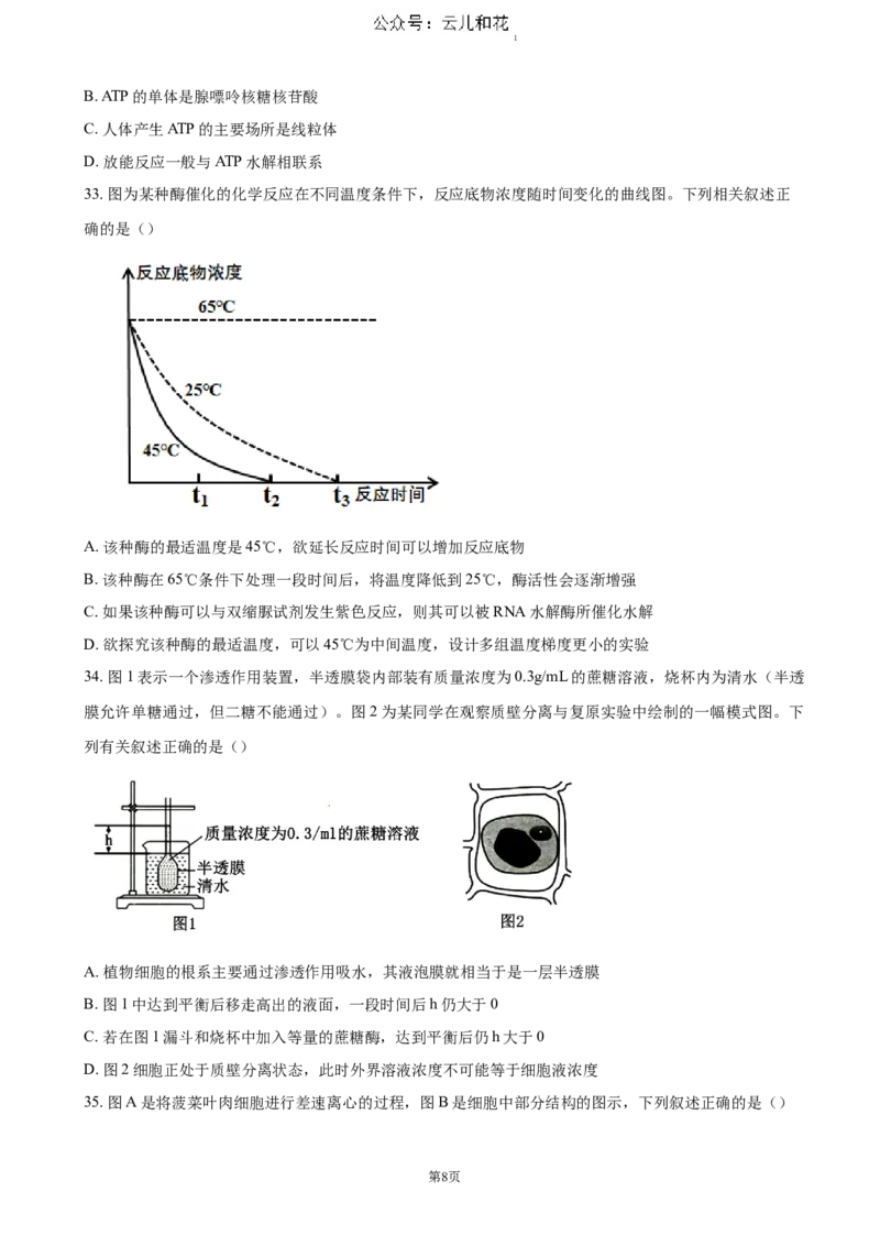 江苏省扬州市高邮市2024-2025学年高一上学期11月期中考试生物（含答案）_2024-2025高一（7-7月题库）_2024年12月试卷_1206江苏省扬州市高邮市2024-2025学年高一上学期11月期中考试