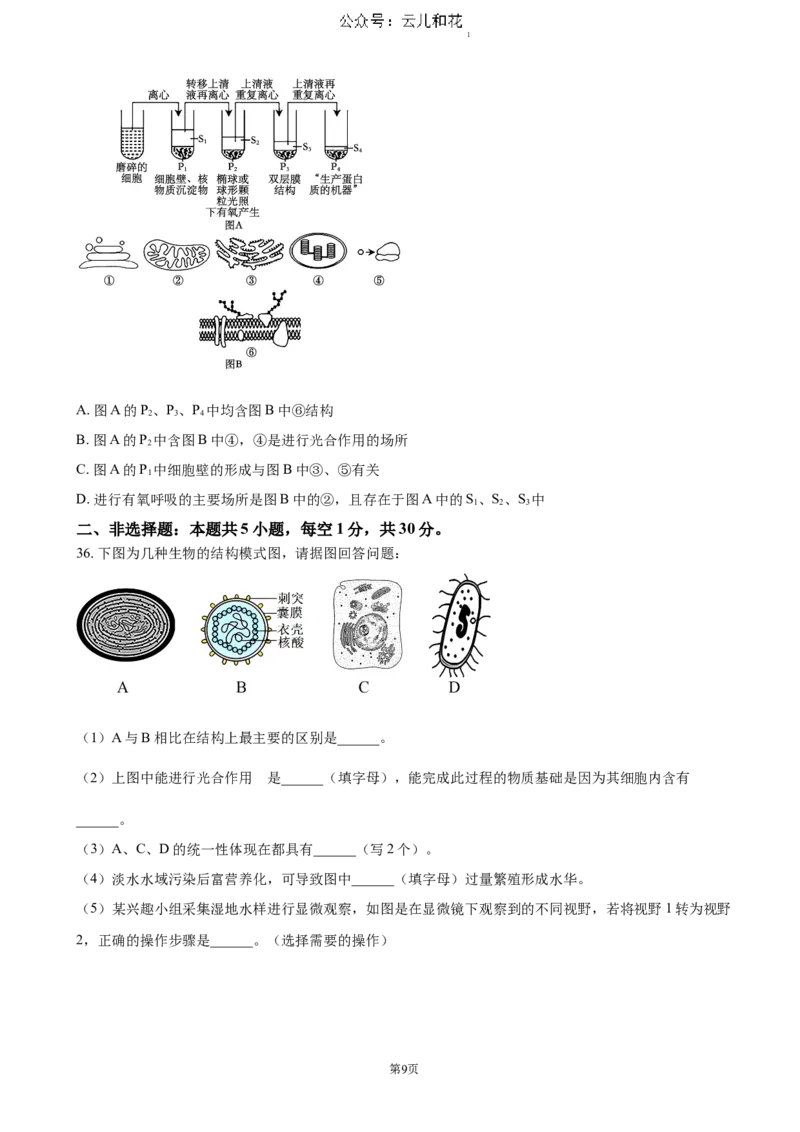 江苏省扬州市高邮市2024-2025学年高一上学期11月期中考试生物（含答案）_2024-2025高一（7-7月题库）_2024年12月试卷_1206江苏省扬州市高邮市2024-2025学年高一上学期11月期中考试