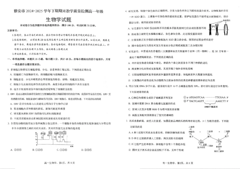 四川省雅安市2024-2025学年高一下学期期末教学质量检测生物试卷_2024-2025高一（7-7月题库）_2025年7月_250710四川省雅安市2024-2025学年高一下学期期末教学质量检测试卷