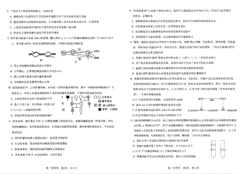 四川省雅安市2024-2025学年高一下学期期末教学质量检测生物试卷_2024-2025高一（7-7月题库）_2025年7月_250710四川省雅安市2024-2025学年高一下学期期末教学质量检测试卷