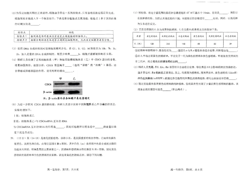 四川省雅安市2024-2025学年高一下学期期末教学质量检测生物试卷_2024-2025高一（7-7月题库）_2025年7月_250710四川省雅安市2024-2025学年高一下学期期末教学质量检测试卷