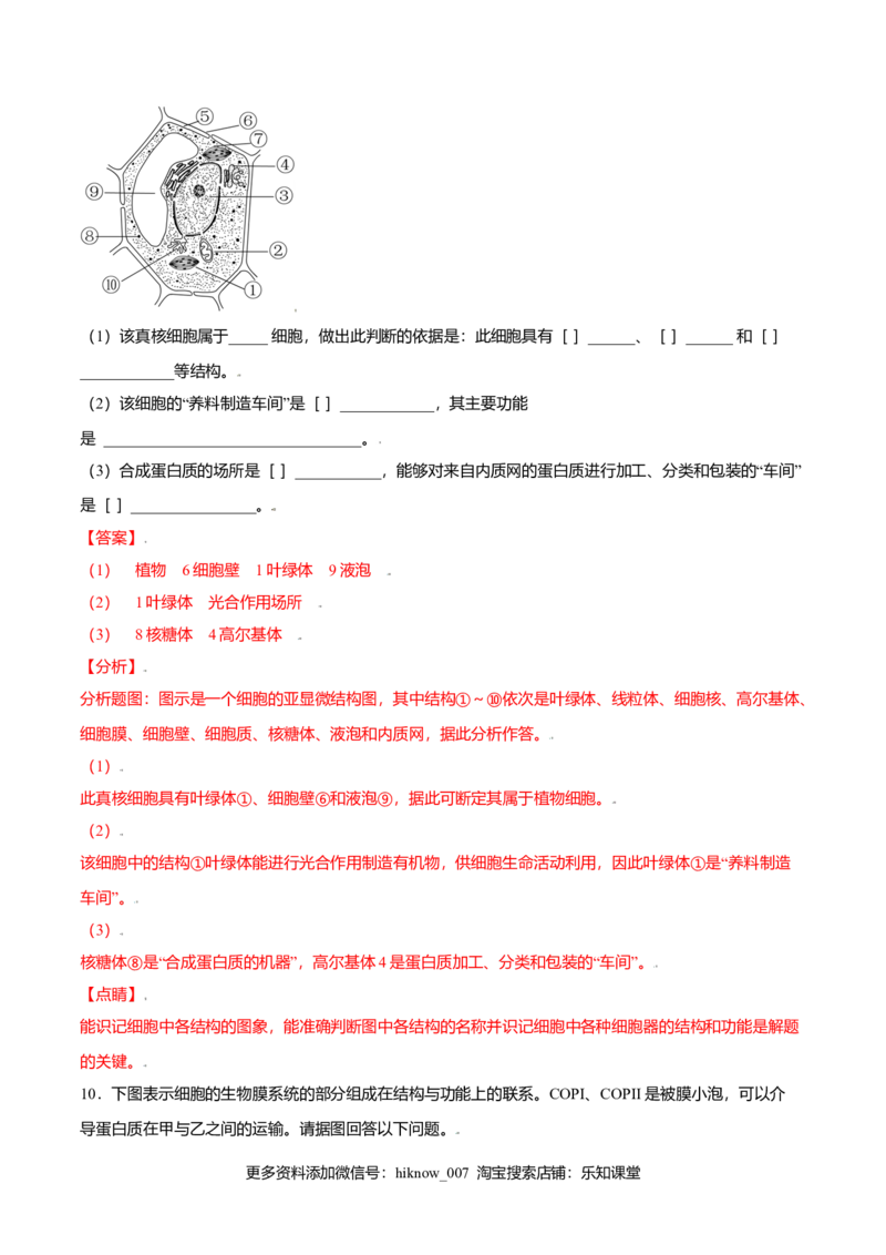 3.2细胞器之间的分工合作-高一生物课后培优练（人教版2019必修1）（解析版）_E015高中全科试卷_生物试题_必修1_2.同步练习_3.同步练习（第三套）