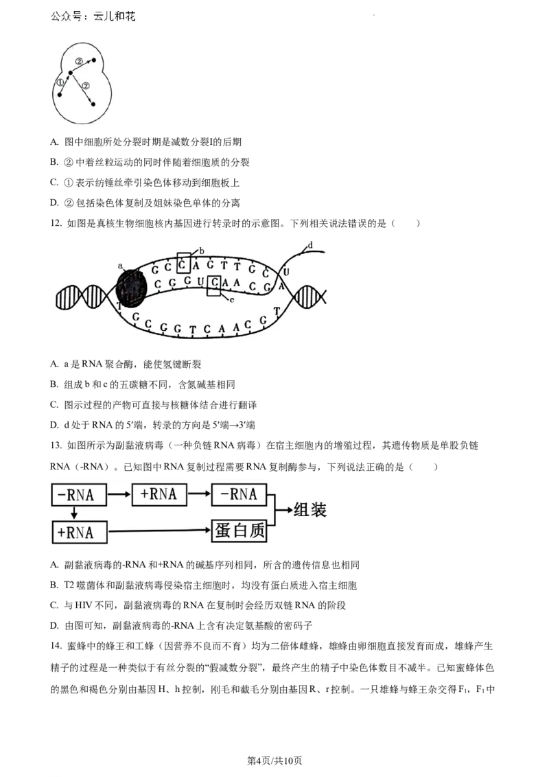 安徽省宿州市天一大联考2023-2024学年高一下学期7月期末生物试题_2024-2025高一（7-7月题库）_2024年8月试卷_0802安徽省亳州市天一大联考2023-2024学年高一下学期7月期末