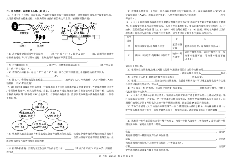 四川省成都市树德中学2024-2025学年高一下学期期末考试生物PDF版含答案（可编辑）_2024-2025高一（7-7月题库）_2025年7月_250712四川省成都市树德中学2024-2025学年高一下学期期末考试