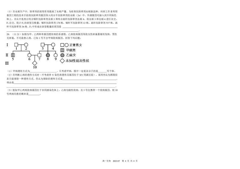 四川省成都市树德中学2024-2025学年高一下学期期末考试生物PDF版含答案（可编辑）_2024-2025高一（7-7月题库）_2025年7月_250712四川省成都市树德中学2024-2025学年高一下学期期末考试