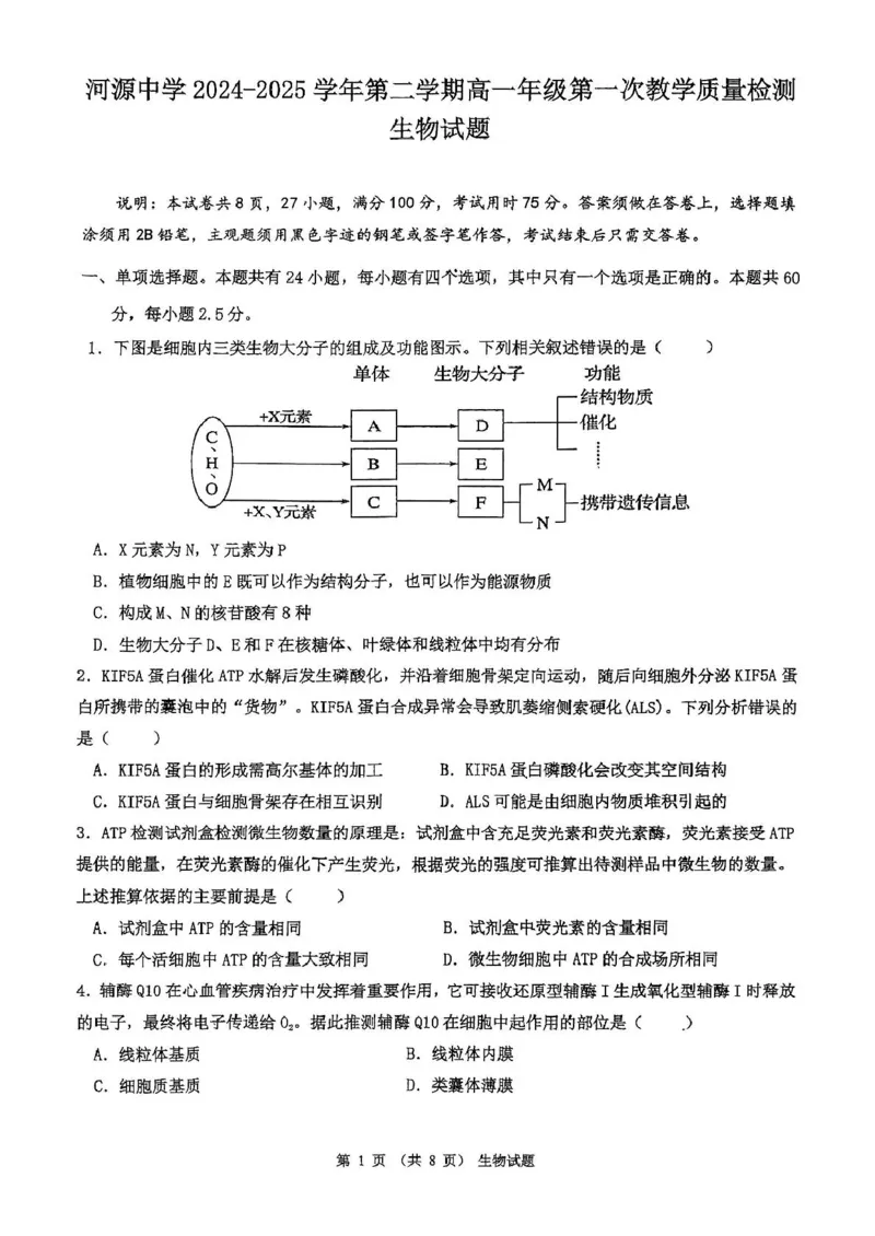 广东省河源市河源中学2024-2025学年高一下学期第一次教学质量检测（3月）生物试卷（PDF版，含解析）_2024-2025高一（7-7月题库）_2025年04月试卷