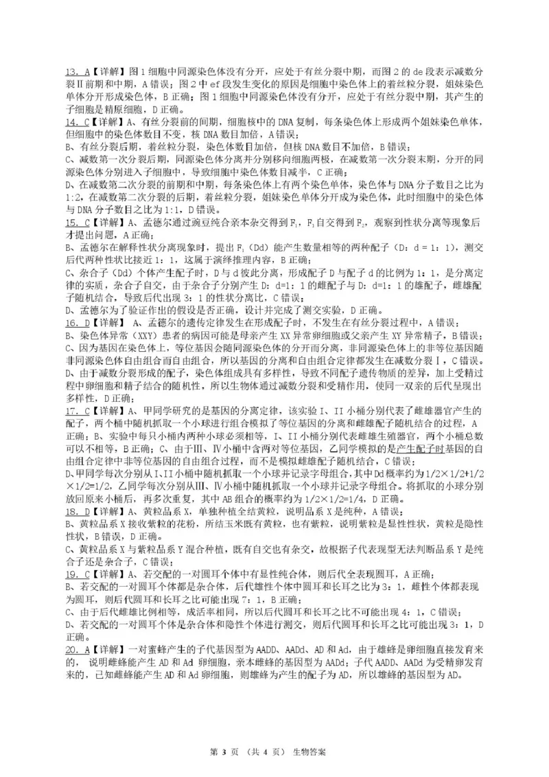 广东省河源市河源中学2024-2025学年高一下学期第一次教学质量检测（3月）生物试卷（PDF版，含解析）_2024-2025高一（7-7月题库）_2025年04月试卷