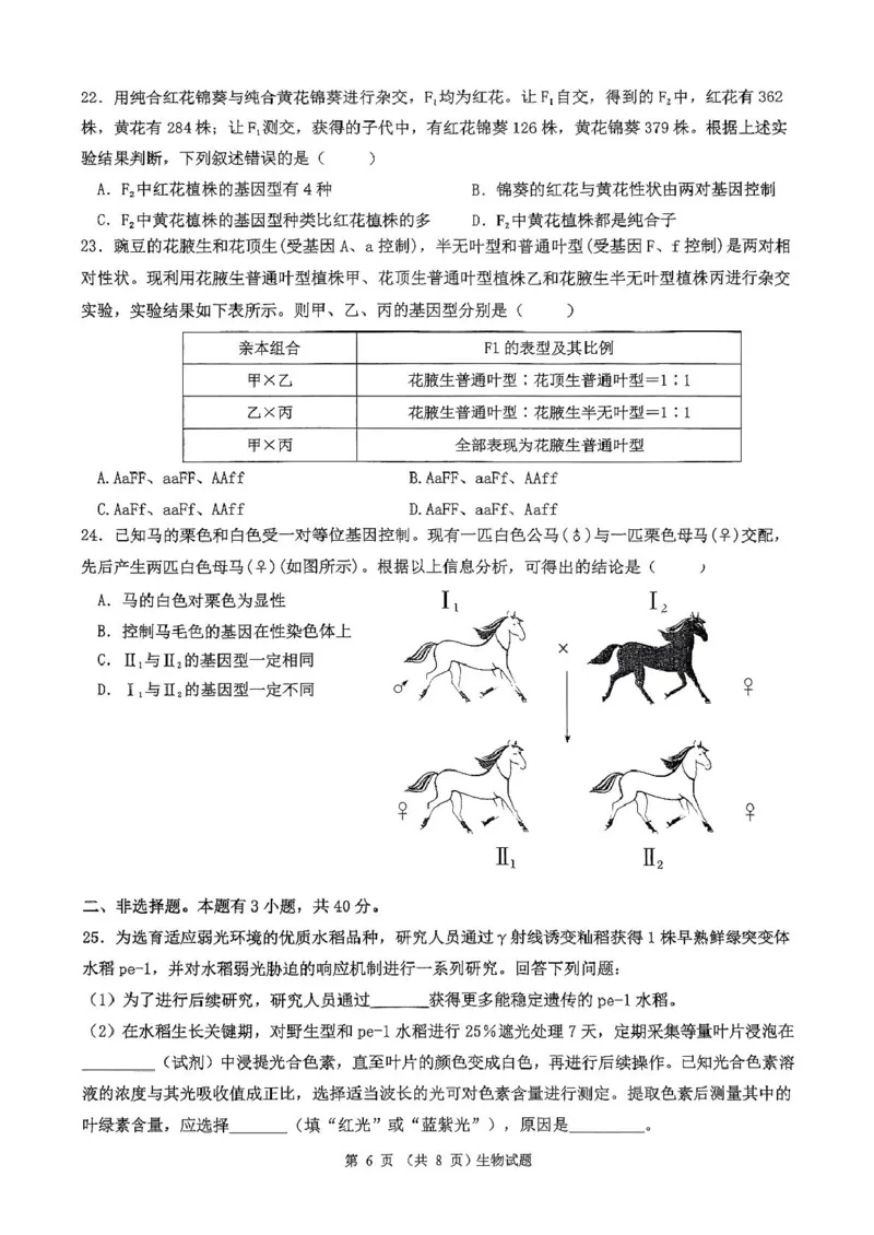 广东省河源市河源中学2024-2025学年高一下学期第一次教学质量检测（3月）生物试卷（PDF版，含解析）_2024-2025高一（7-7月题库）_2025年04月试卷