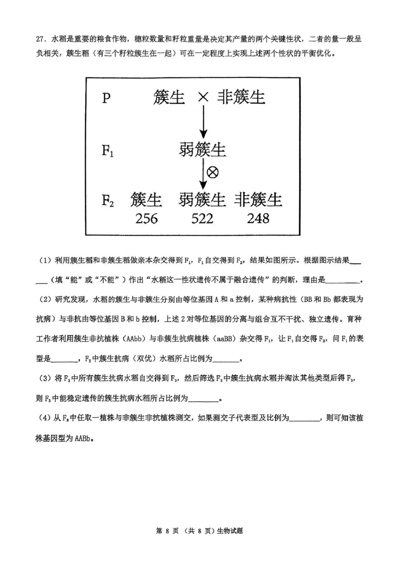广东省河源市河源中学2024-2025学年高一下学期第一次教学质量检测（3月）生物试卷（PDF版，含解析）_2024-2025高一（7-7月题库）_2025年04月试卷