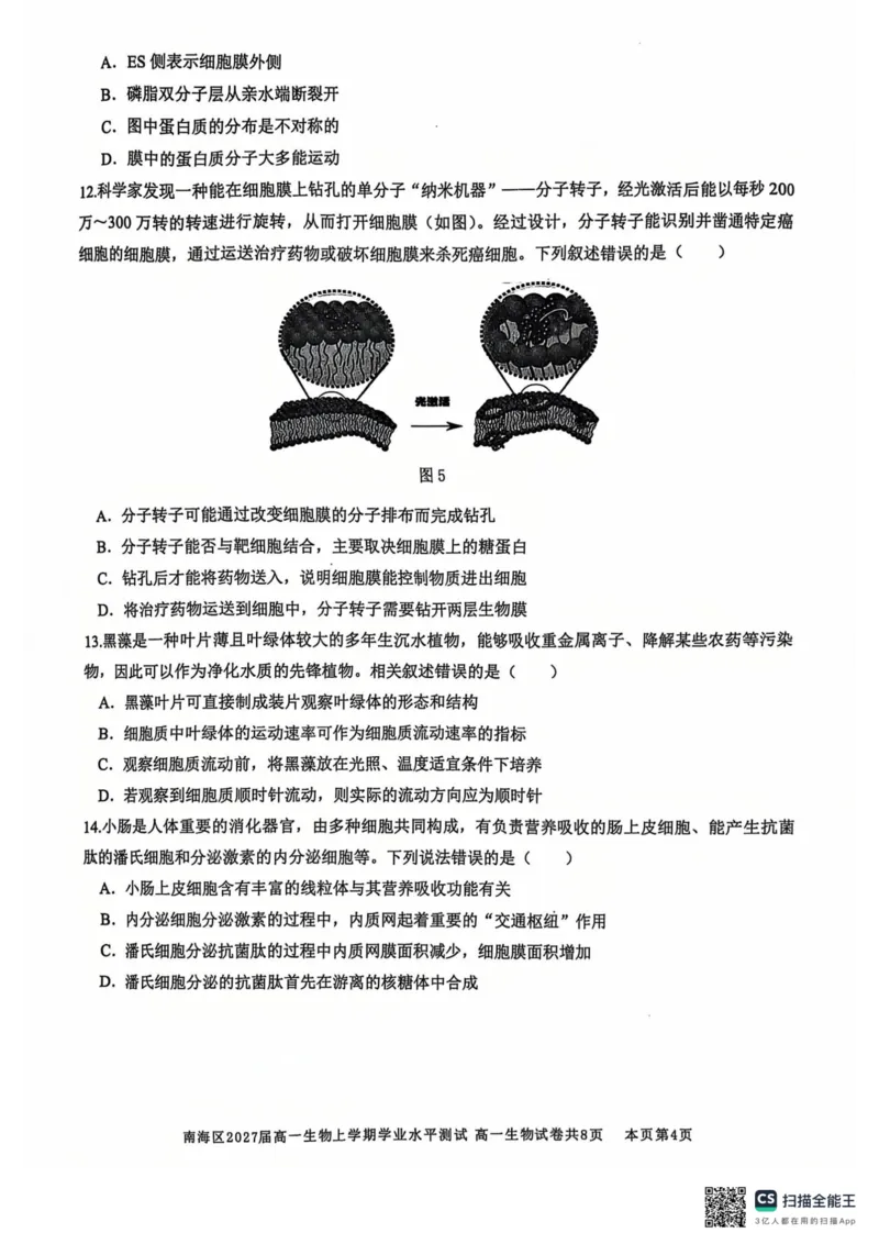 广东省佛山市南海区2024-2025学年高一上学期12月月考试题生物PDF版无答案_2024-2025高一（7-7月题库）_2024年12月试卷_1213广东省佛山市南海区2024-2025学年高一上学期12月月考试题