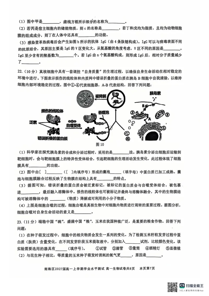 广东省佛山市南海区2024-2025学年高一上学期12月月考试题生物PDF版无答案_2024-2025高一（7-7月题库）_2024年12月试卷_1213广东省佛山市南海区2024-2025学年高一上学期12月月考试题
