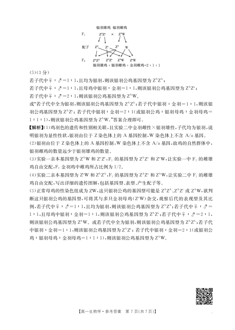 安徽省阜阳市2024-2025学年高一下学期7月期末生物试题答案_2024-2025高一（7-7月题库）_2025年7月_250705安徽省阜阳市2024-2025学年高一下学期7月期末考试