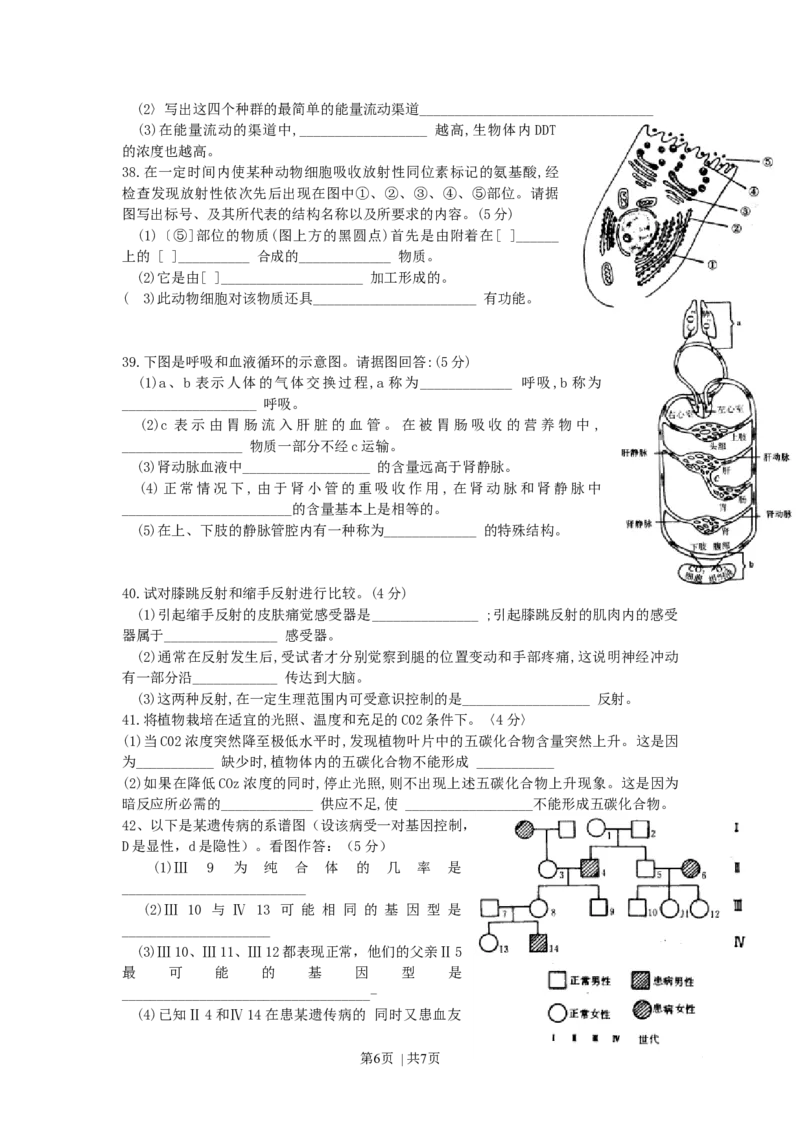 1991年山东高考生物真题_生物高考真题试卷_旧1990-2007&middot;高考生物真题_1990-2007&middot;高考生物真题&middot;word_山东