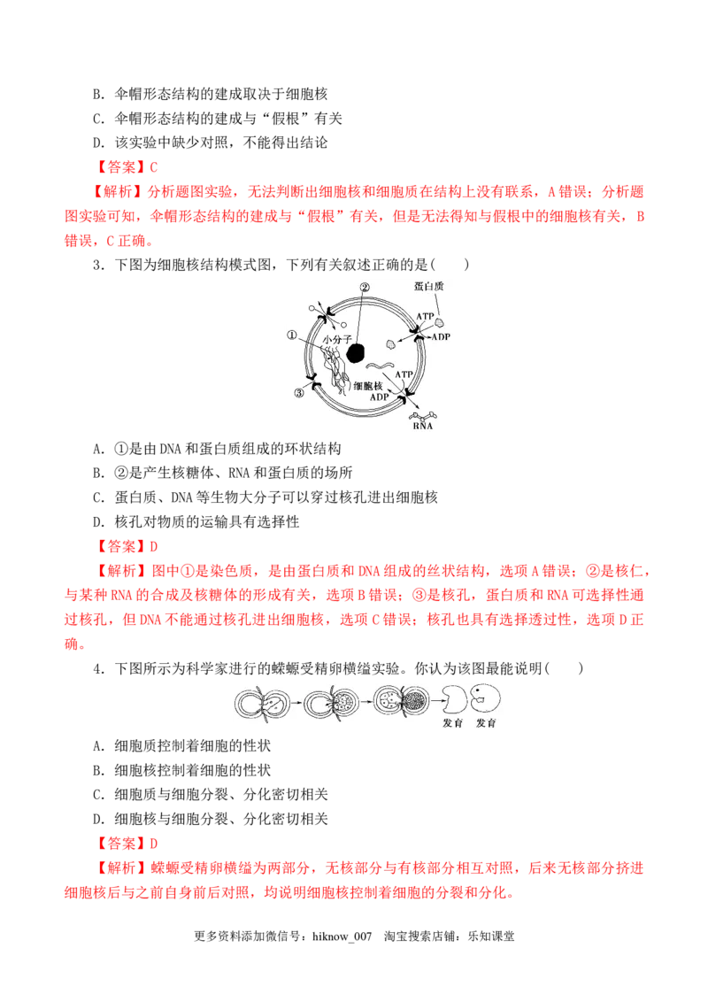 3.3细胞核的结构和功能-2022-2023学年高一生物上学期课后培优分级练（2019人教版必修1）（解析版）_E015高中全科试卷_生物试题_必修1_2.同步练习_1.同步练习（第一套）