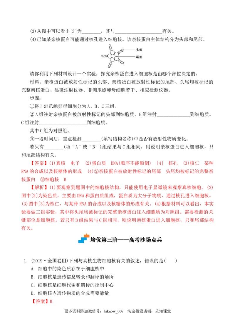3.3细胞核的结构和功能-2022-2023学年高一生物上学期课后培优分级练（2019人教版必修1）（解析版）_E015高中全科试卷_生物试题_必修1_2.同步练习_1.同步练习（第一套）