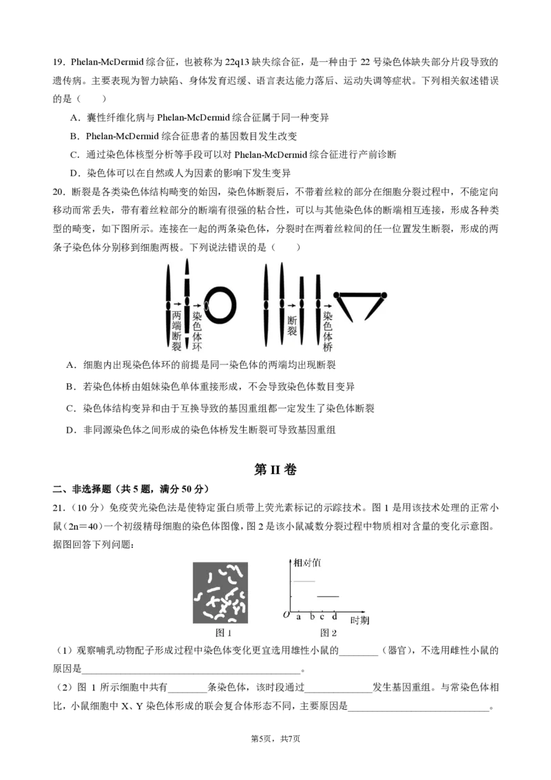 四川省成都市第七中学2024-2025学年度下期高一期末测试生物_2024-2025高一（7-7月题库）_2025年7月_250706四川省成都市第七中学2024-2025学年度下期高一期末测试