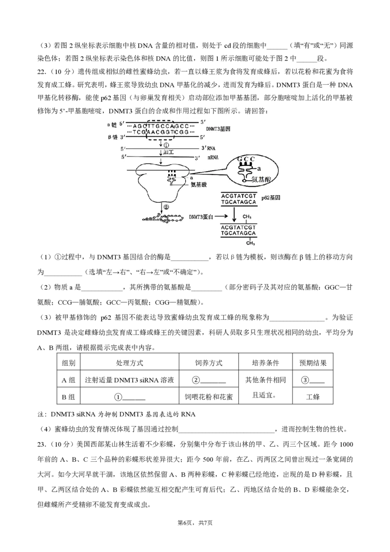 四川省成都市第七中学2024-2025学年度下期高一期末测试生物_2024-2025高一（7-7月题库）_2025年7月_250706四川省成都市第七中学2024-2025学年度下期高一期末测试