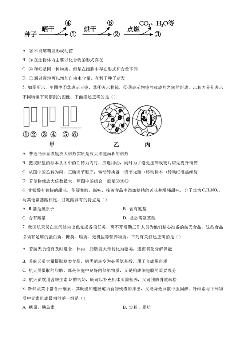 安徽省滁州市九校联考2024-2025学年高一上学期11月期中考试生物（含答案）_2024-2025高一（7-7月题库）_2024年11月试卷_1124安徽省滁州市九校联考2024-2025学年高一上学期11月期中考试