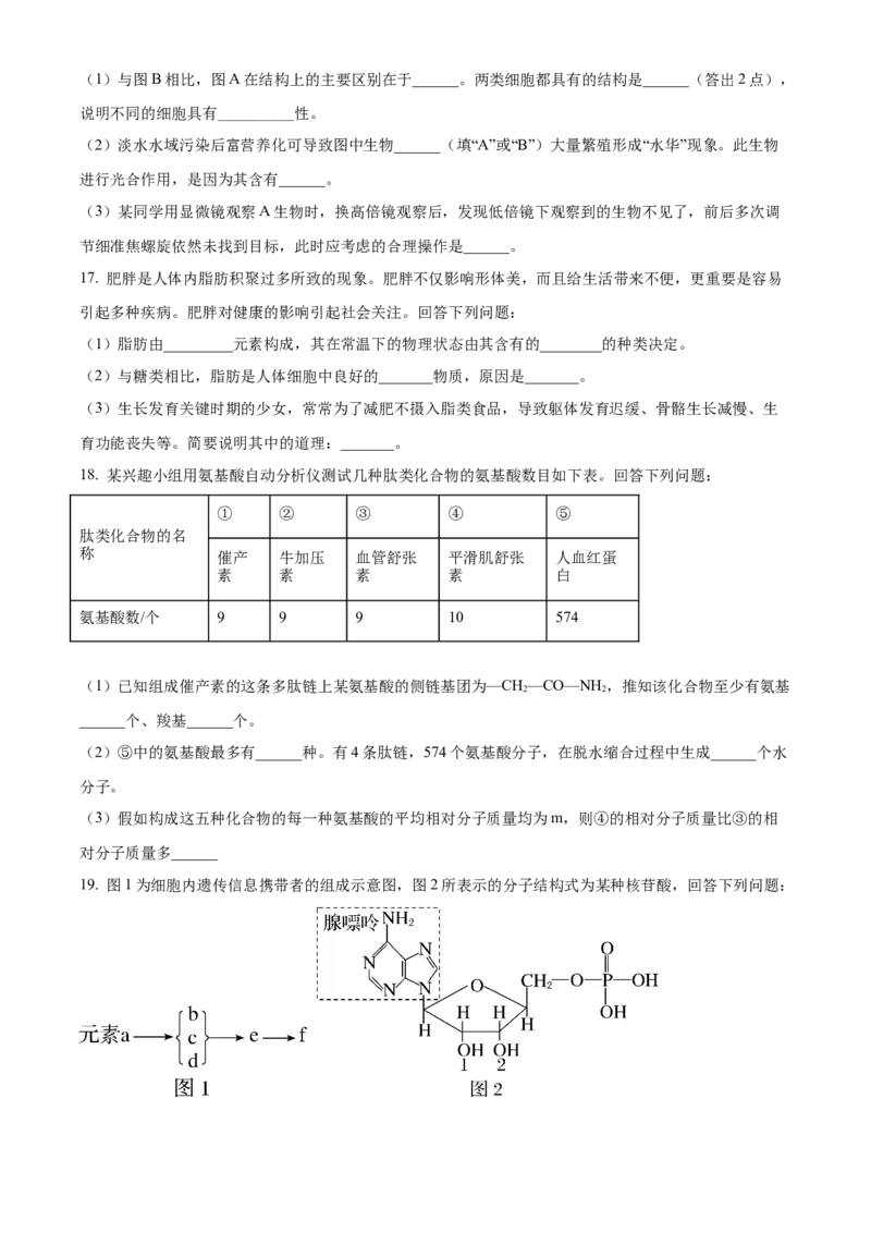 安徽省滁州市九校联考2024-2025学年高一上学期11月期中考试生物（含答案）_2024-2025高一（7-7月题库）_2024年11月试卷_1124安徽省滁州市九校联考2024-2025学年高一上学期11月期中考试