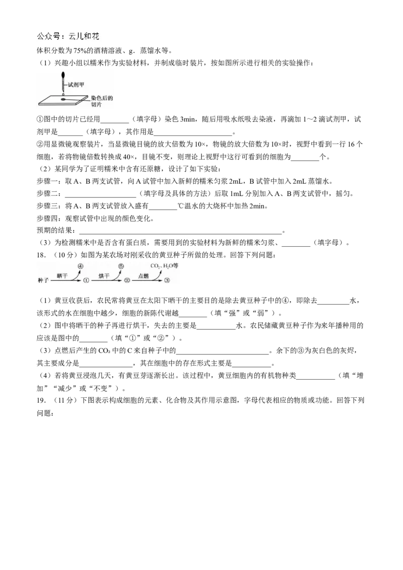 安徽省亳州市涡阳县2024-2025学年高一上学期11月期中（第二次月考）生物试题Word版含解析_2024-2025高一（7-7月题库）_2024年12月试卷