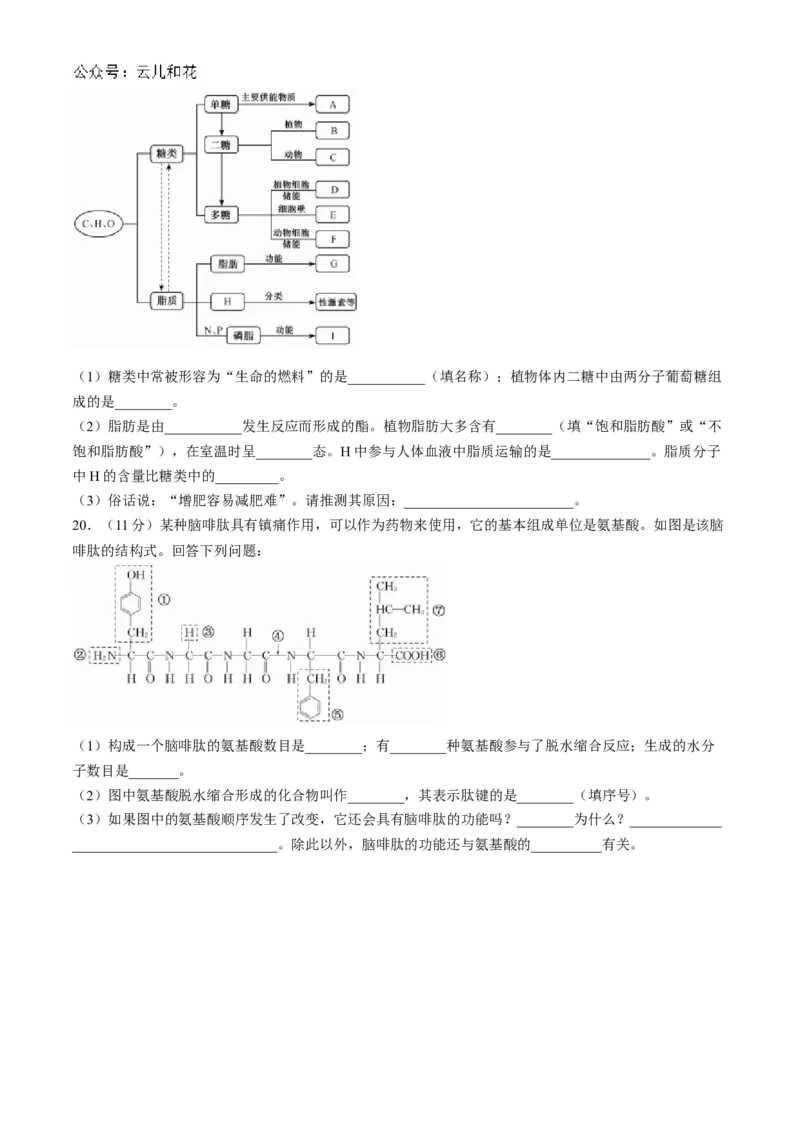 安徽省亳州市涡阳县2024-2025学年高一上学期11月期中（第二次月考）生物试题Word版含解析_2024-2025高一（7-7月题库）_2024年12月试卷