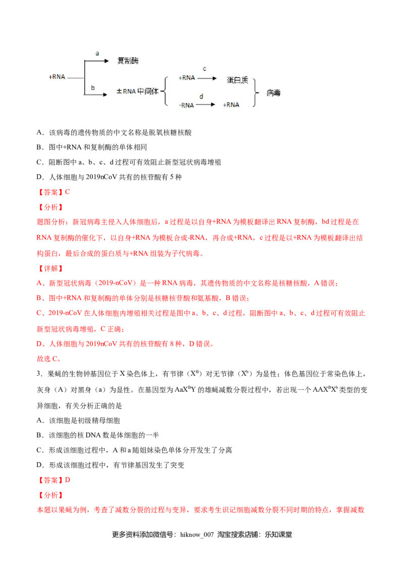 期末押题01-高一生物下学期期末专项复习（人教版2019必修2）（解析版）_E015高中全科试卷_生物试题_必修2_4.期末试卷_期末押题01-高一生物下学期期末专项复习（人教版2019必修2）(28833800)
