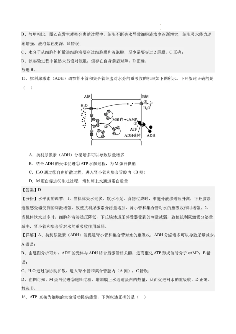 期末模拟卷01（全解全析）（人教版2019）_E015高中全科试卷_生物试题_必修1_4.期末试卷_高一生物期末模拟卷01（人教版2019）2023-2024学年高中生物上学期期末模拟考试