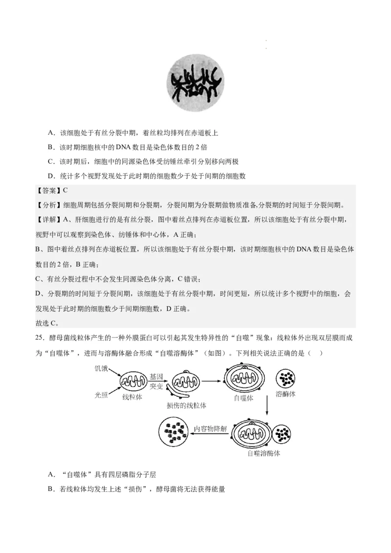 期末模拟卷01（全解全析）（人教版2019）_E015高中全科试卷_生物试题_必修1_4.期末试卷_高一生物期末模拟卷01（人教版2019）2023-2024学年高中生物上学期期末模拟考试