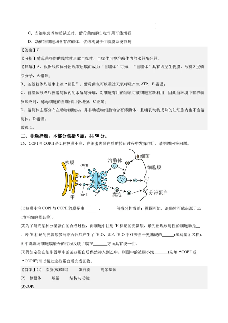 期末模拟卷01（全解全析）（人教版2019）_E015高中全科试卷_生物试题_必修1_4.期末试卷_高一生物期末模拟卷01（人教版2019）2023-2024学年高中生物上学期期末模拟考试