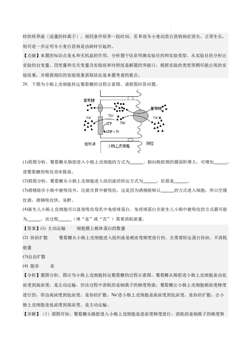 期末模拟卷01（全解全析）（人教版2019）_E015高中全科试卷_生物试题_必修1_4.期末试卷_高一生物期末模拟卷01（人教版2019）2023-2024学年高中生物上学期期末模拟考试